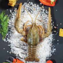 Живой Рак "Мясистый" 80-100 гр./шт. 4-я категория